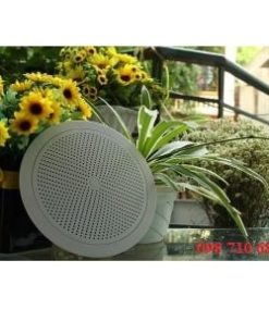 LOA ÂM TRẦN DB TS-301