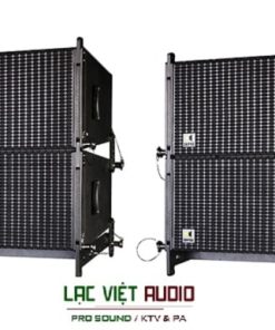 Loa array pro DT-10